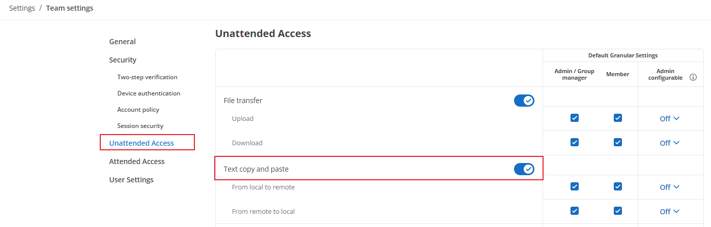 text copy and paste.png